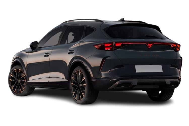Cupra Formentor Estate 2.0 TSI 310 5dr DSG 4Drive