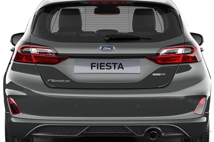 Ford Fiesta Petrol 1.0 Ecoboost 100 Van