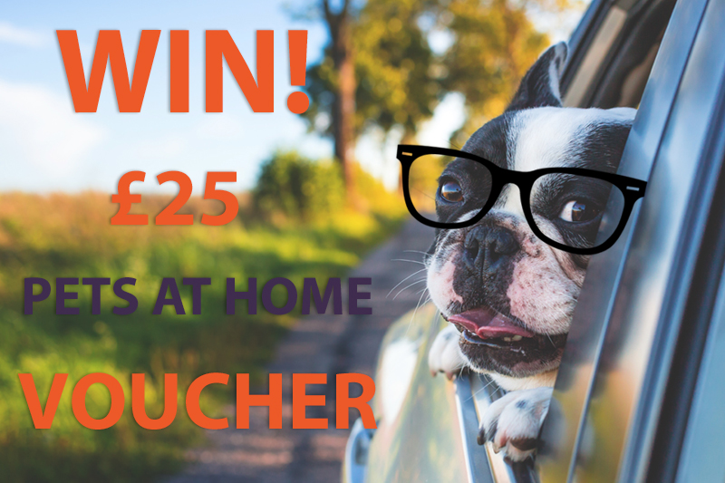 [GIVEAWAY CLOSED] Win a £25 Pets at Home voucher with Car Leasing